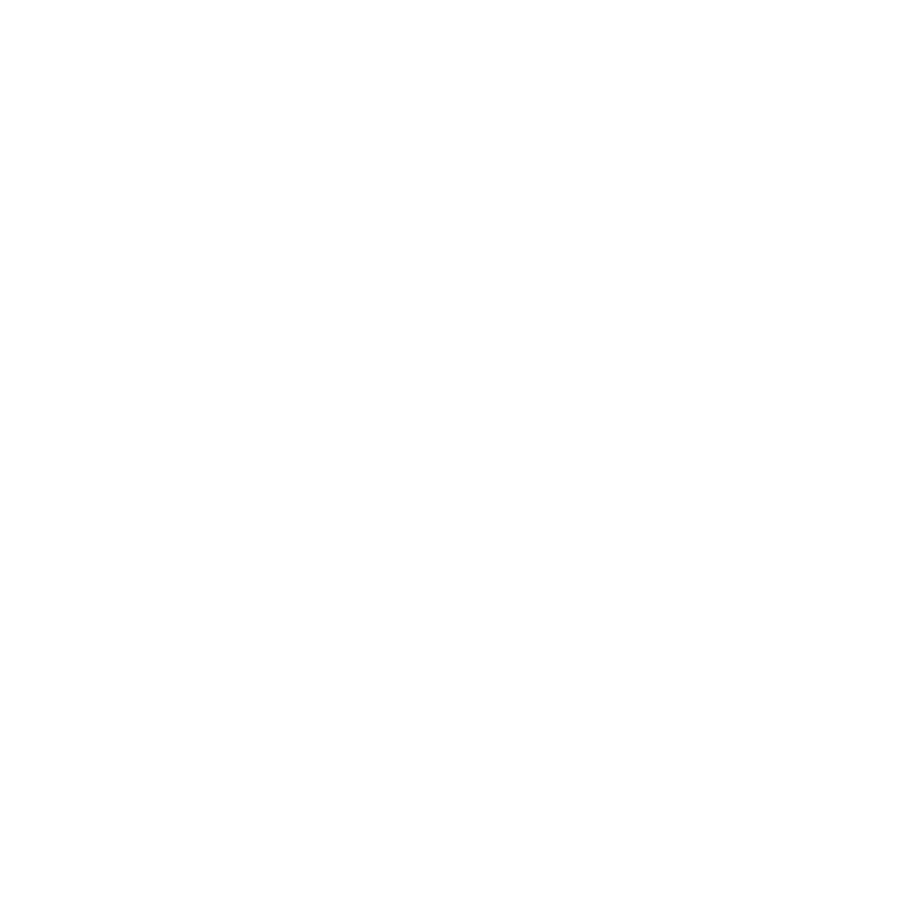 SDC Logo